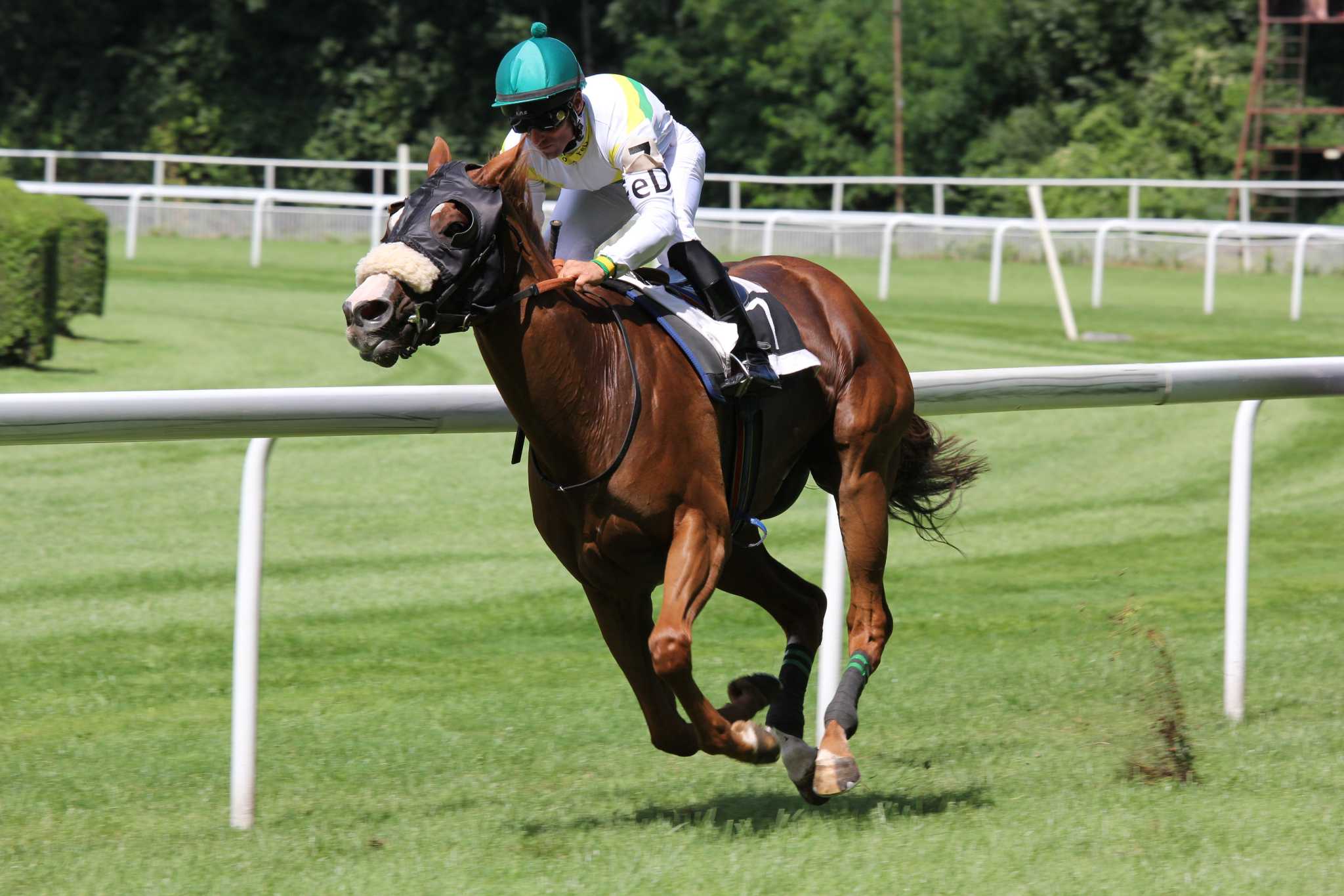 Racing Luck Unveiling the Thrills of Horse Betting at Saratoga Race Course Racing Luck Unveiling the Thrills of Horse Betting at Saratoga Race Course